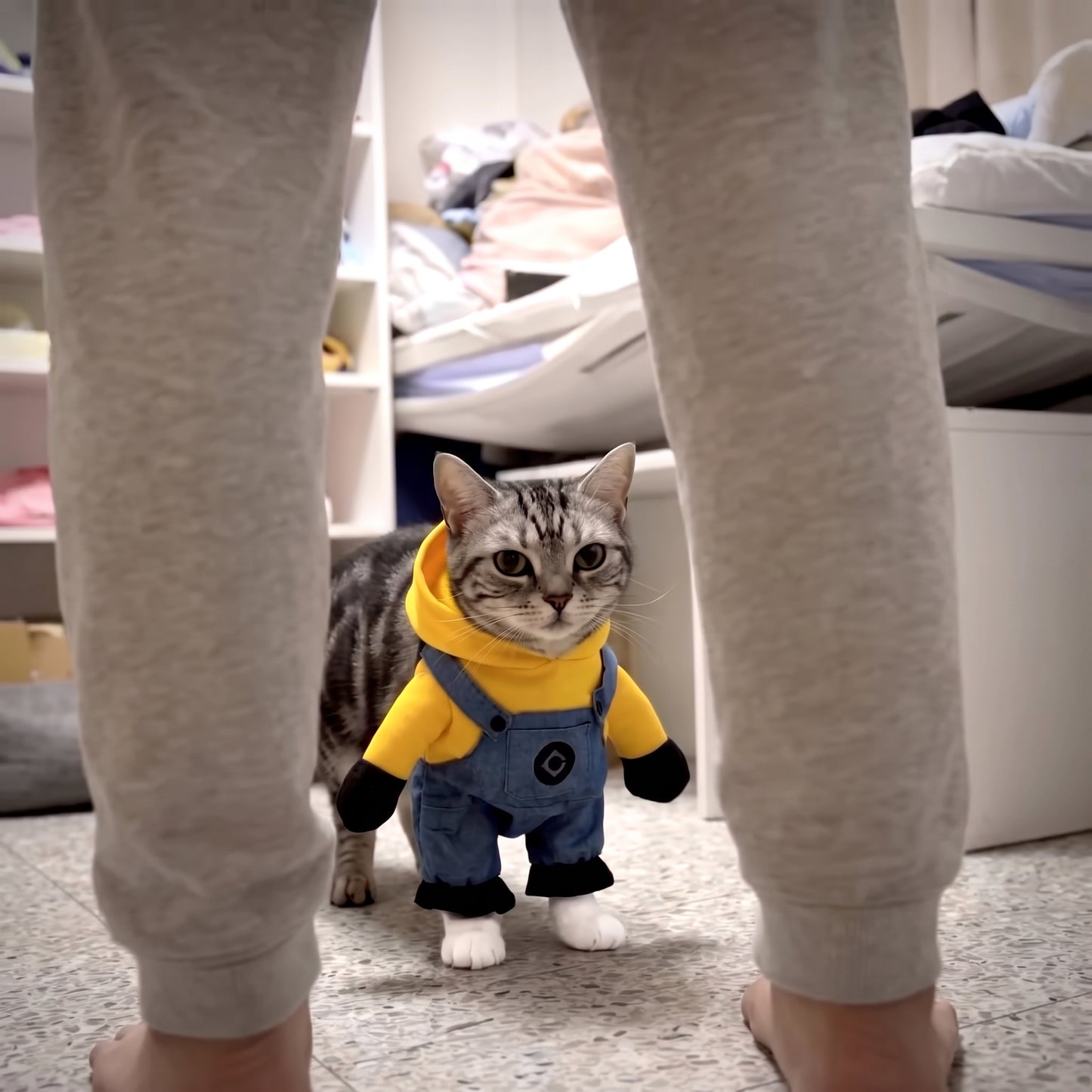 Funny Suit